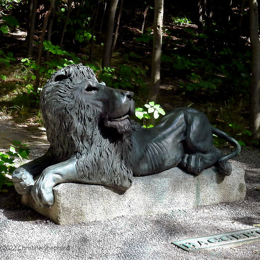My Soul is Among Lions