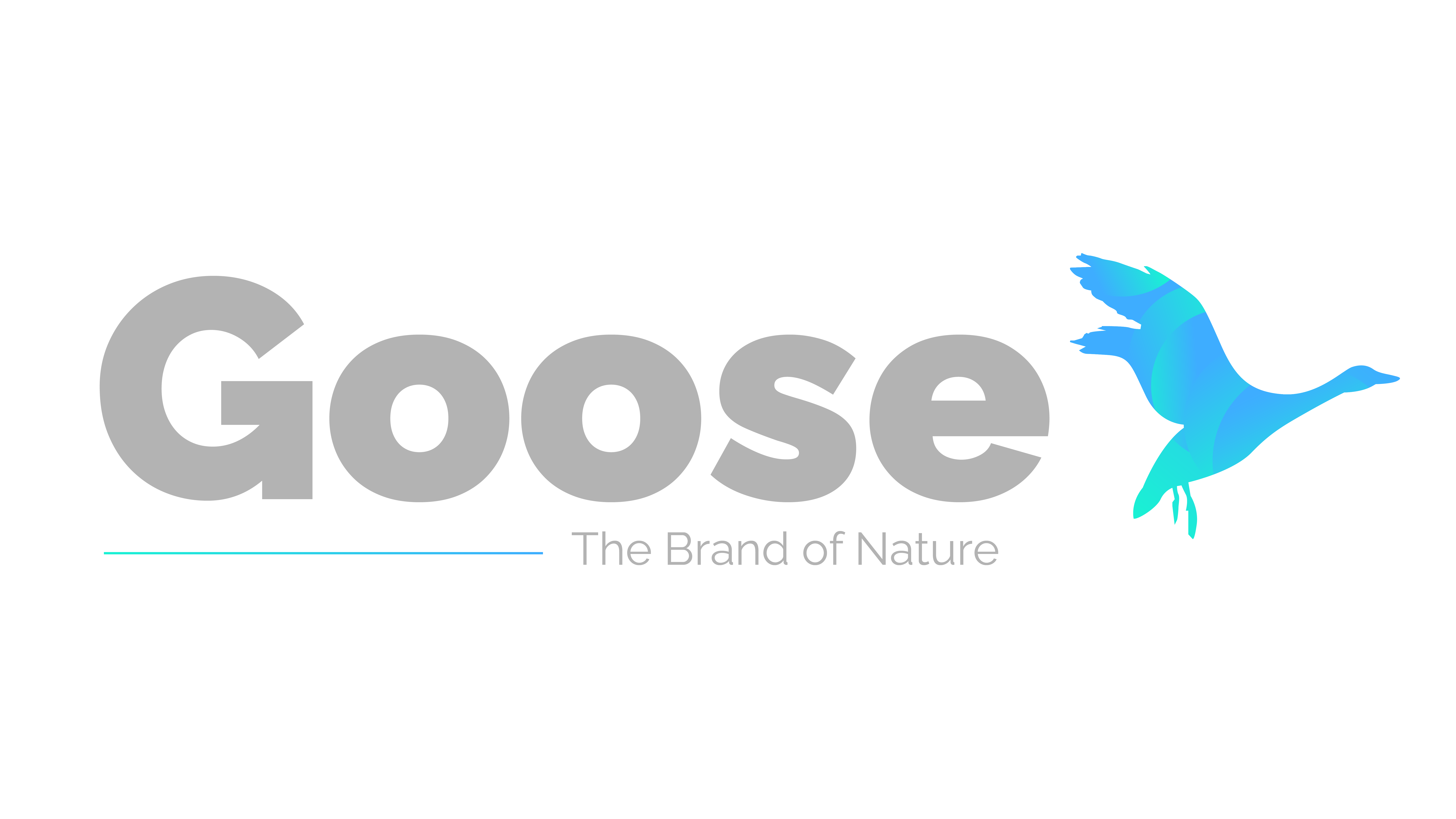 Goose Logo4x.png