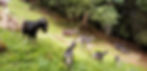 IMG-20230414-WA0007