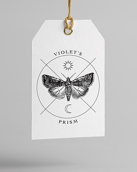 violetsprismlogodisplay.jpg