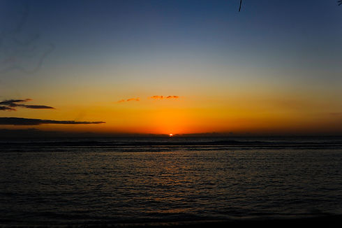 VSF001 (66)_edited.jpg