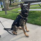 Jax