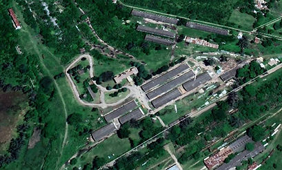 57798742_10215676258152908_8122474242743