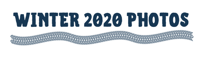 MSIM Winter 2020 Update (3).png