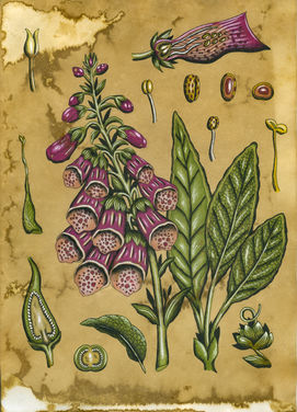 Scan018.jpg