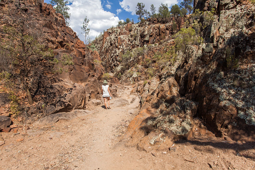 Flinders Ranges
