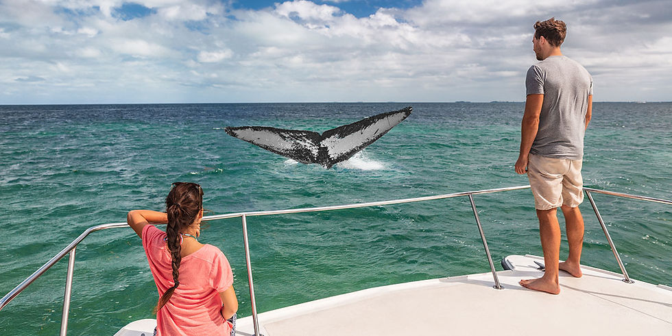 Two people on a boat watch a whale's tail above turquoise ocean. The sky is cloudy, creating a serene mood.