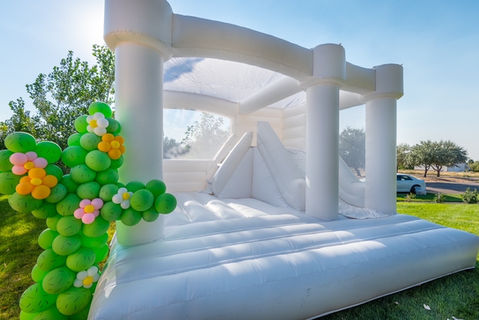 15x15 bounce castle slide combo with balloon cactus