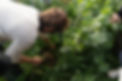 DSC09746.jpg