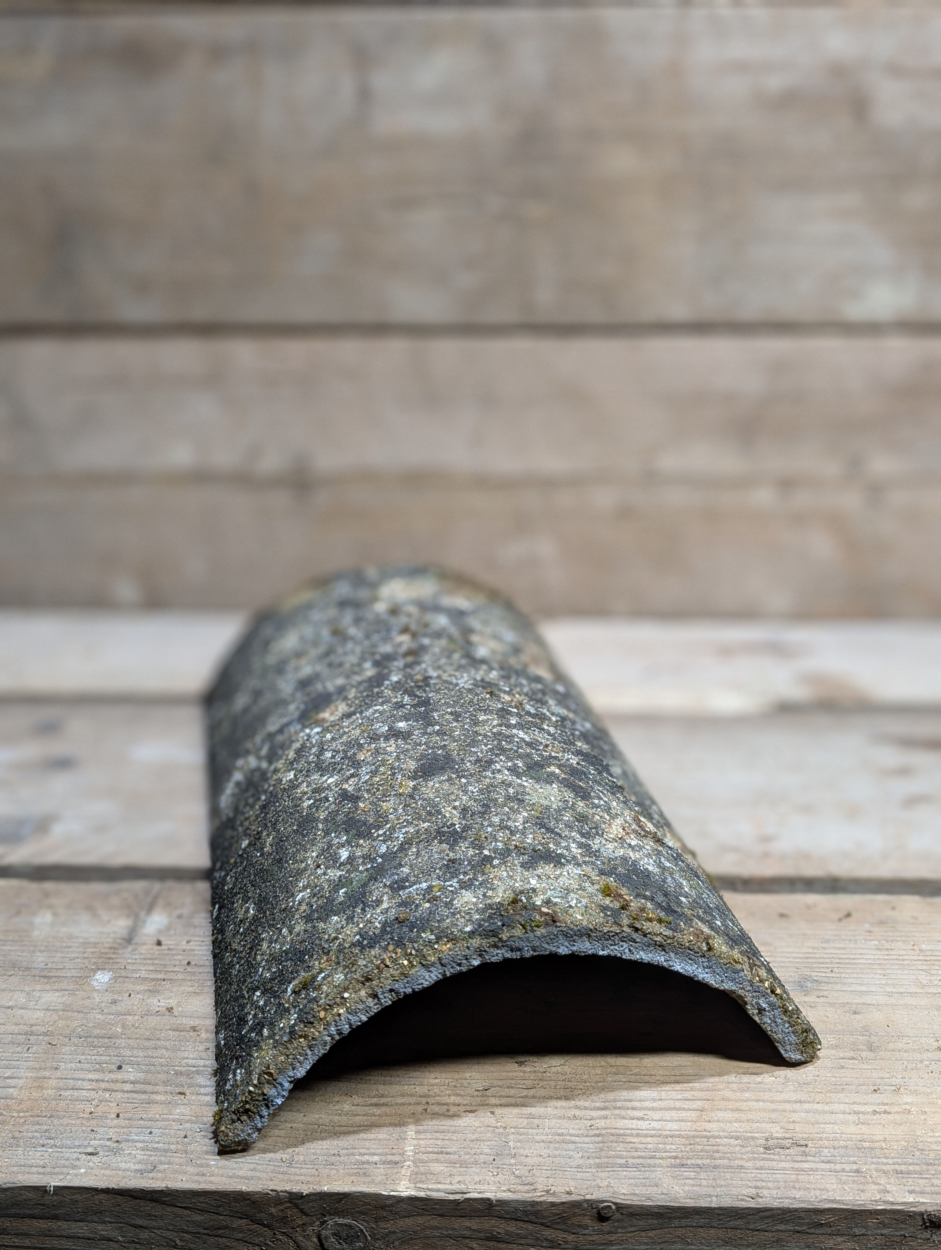 Segmental reclaimed Ridge