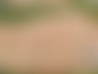 Ribeirão Preto abre inscrições para novas moradias populares