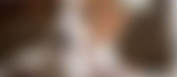 Ribeirão Preto sanciona Lei “Orelha e Otto”