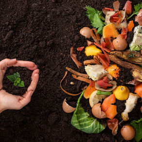 Acirp inicia piloto de compostagem com bares e restaurantes