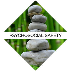 PSYCHOSOCIAL SAFETY
