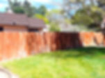 Fence before better pic (2)_edited.jpg