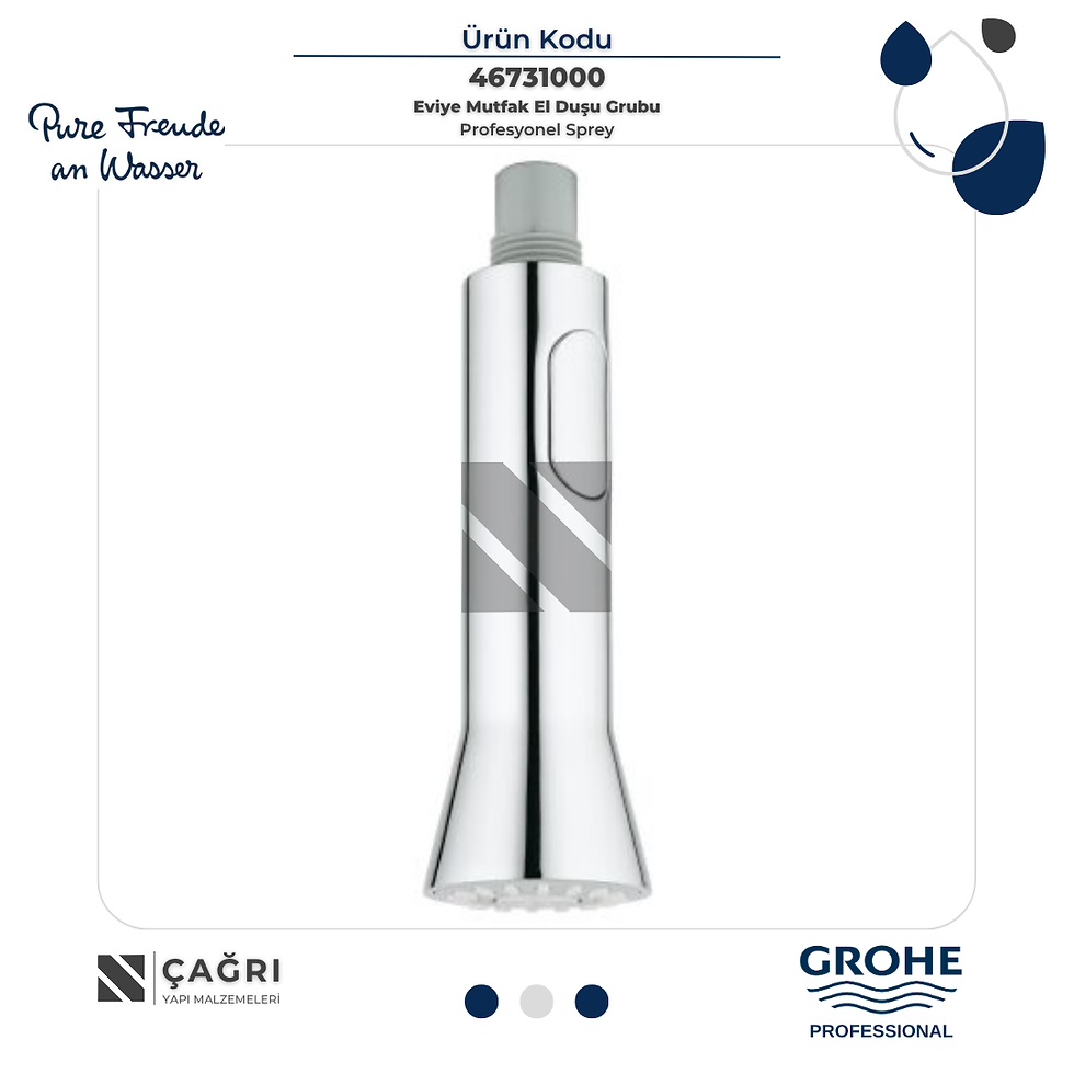 GROHE Eviye Mutfak El Duşu 46731000