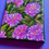 Thumbnail: Mini canvas- Beebalm Flowers with Gold highlights  