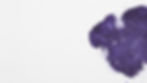 Purple R1.jpg
