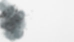 Grey L1.jpg