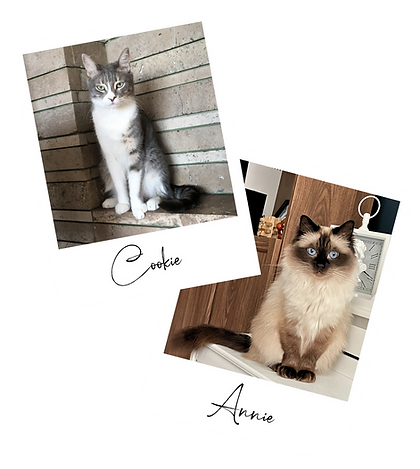 Kuki & Annie.png