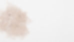 Blush L2.jpg