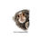 Thumbnail: Pygmy Marmoset Peeking Sticker by RSCF