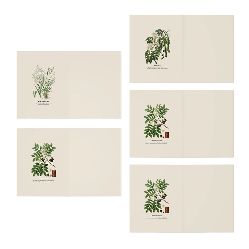 Thumbnail: Vintage Wildlife Greeting Cards  by RSCF