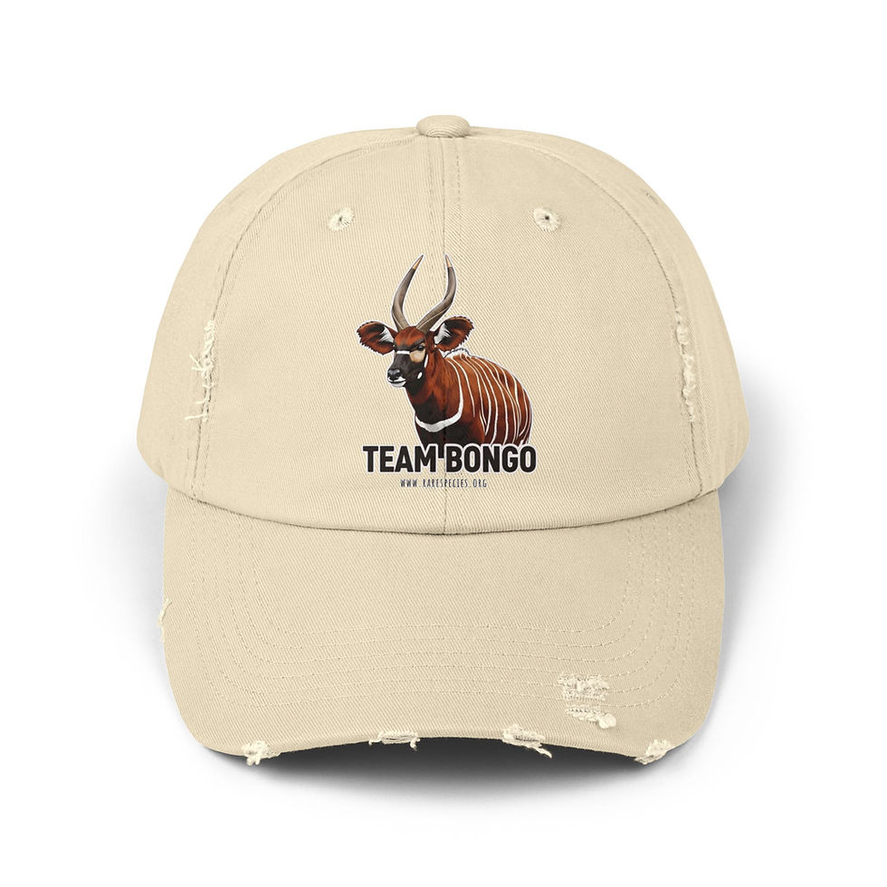 Thumbnail: Team Bongo Distressed Cap by RSCF