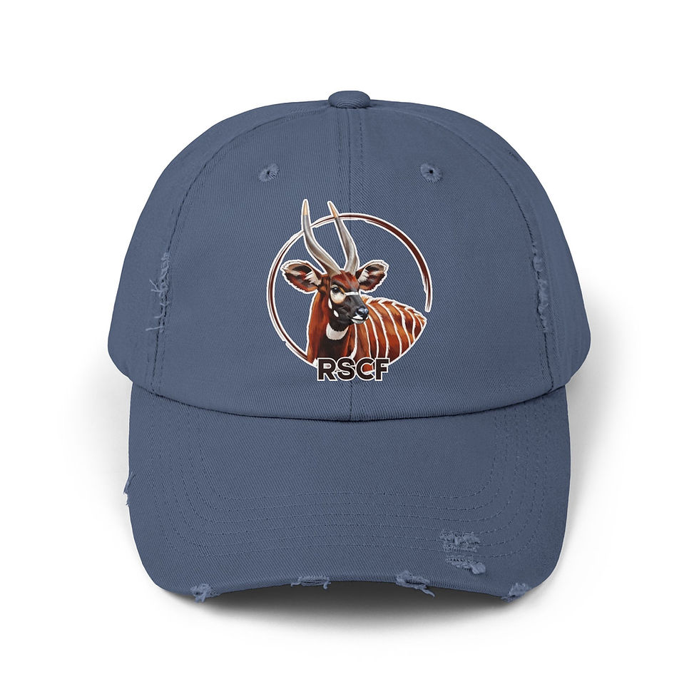 Thumbnail: Distressed Bongo Hat by RSCF
