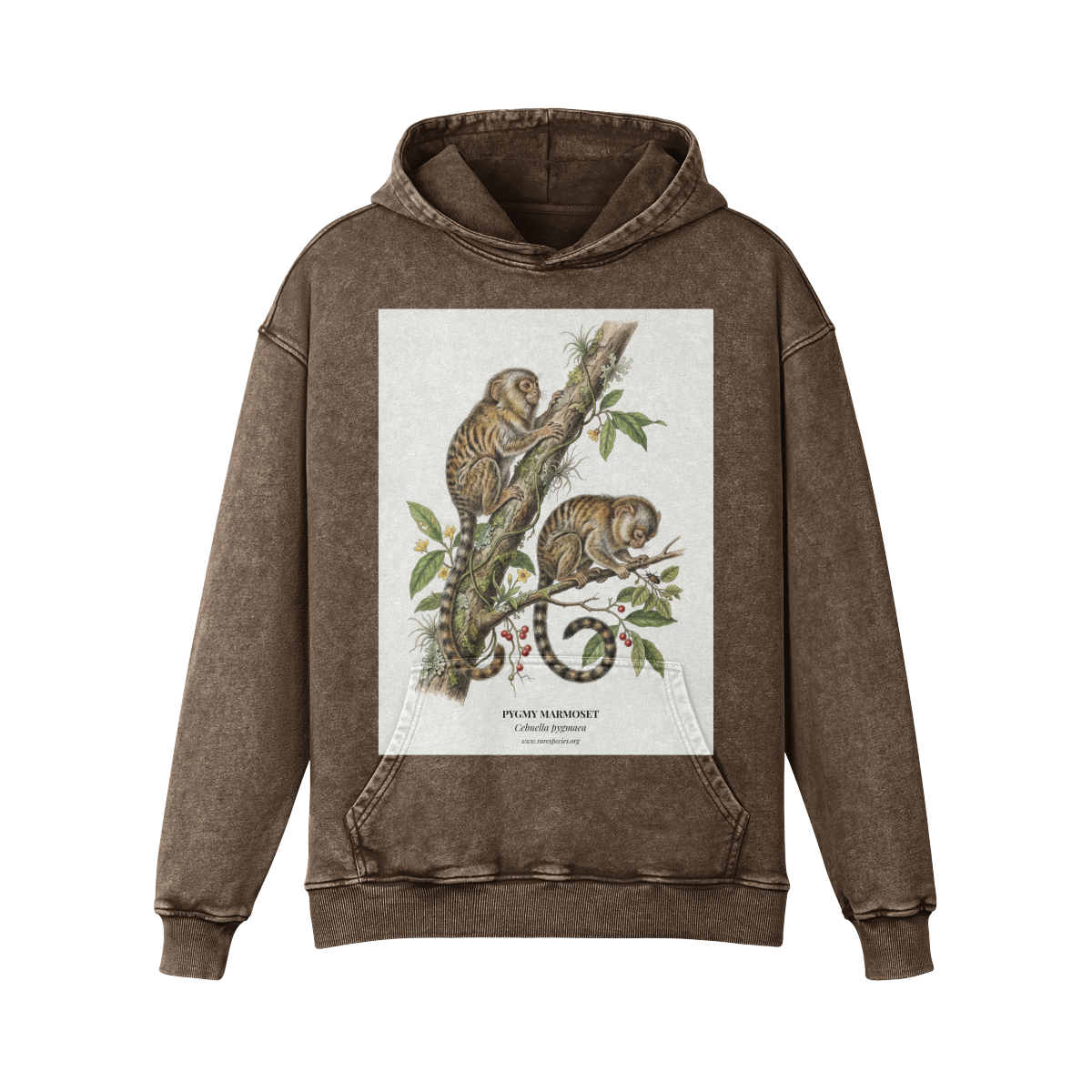 Vintage Pygmy Marmosets by RSCF