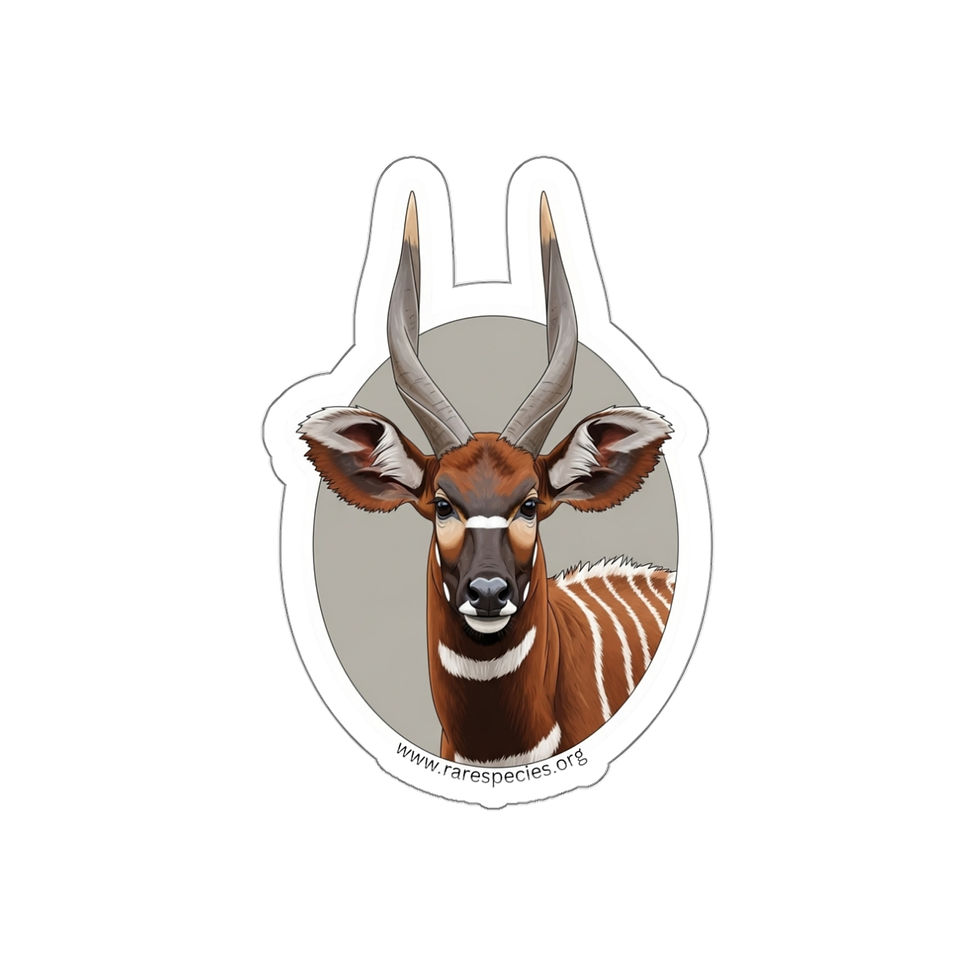 Thumbnail: Bongo Antelope Die-Cut Sticker 