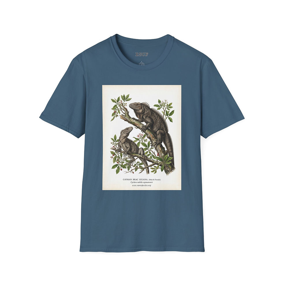 Thumbnail: Vintage Cayman Brac Iguana T-Shirt by RSCF