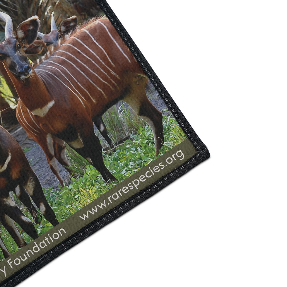 Thumbnail: Bongo Antelope Heavy Duty Floor Mat by RSCF