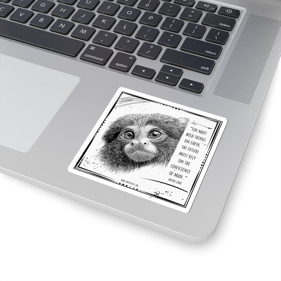 Thumbnail: Pygmy Marmoset Quote Sticker by RSCF