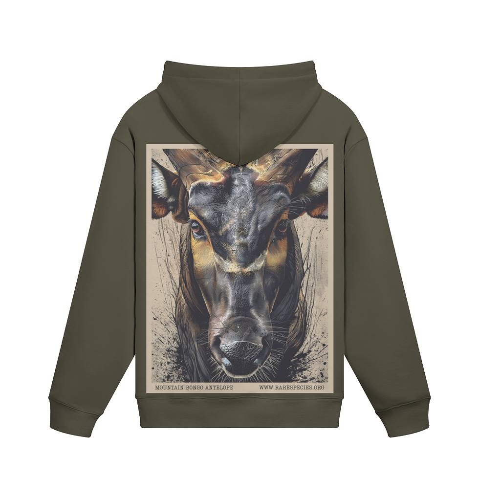 Thumbnail: Bullish Bongo Hoodie by RSCF