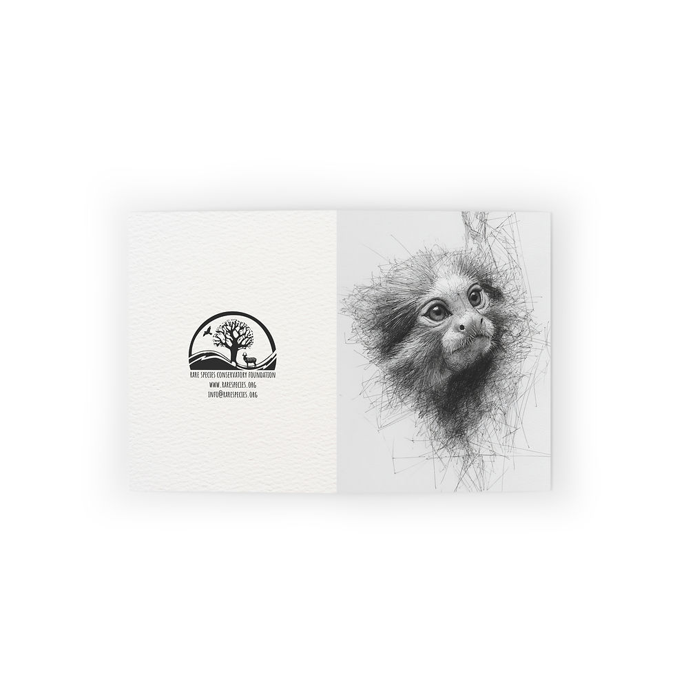 Thumbnail: Pygmy Marmoset Sketch by RSCF