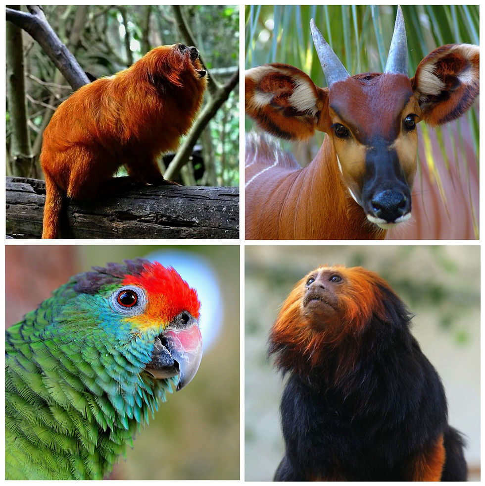 2024 Program Statement