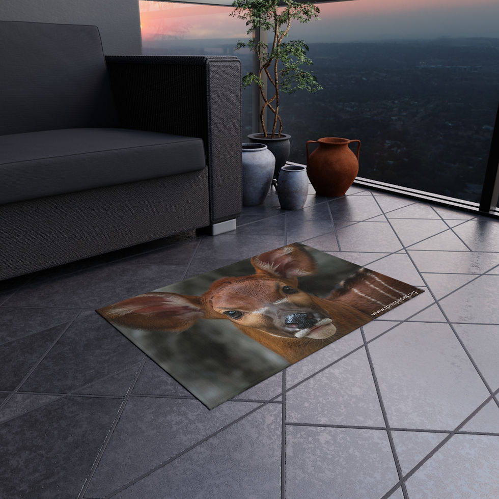 Thumbnail: Baby Bongo Outdoor Rug by RSCF