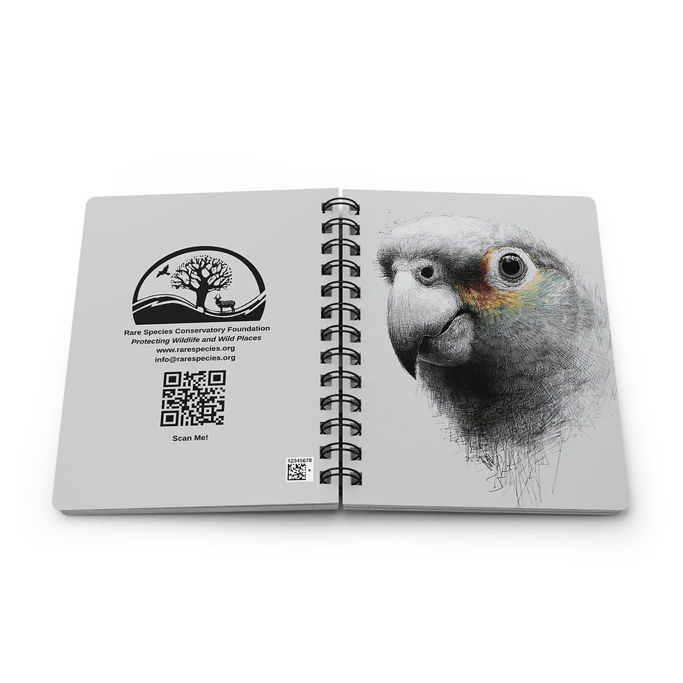 Thumbnail: Red-browed Amazon Parrot Notebook by RSCF