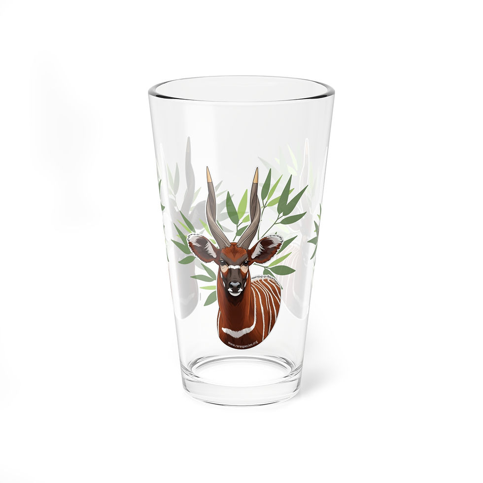 Thumbnail: Conservation on Tap - 16 oz glass Mountain Bongo Antelope by RSCF