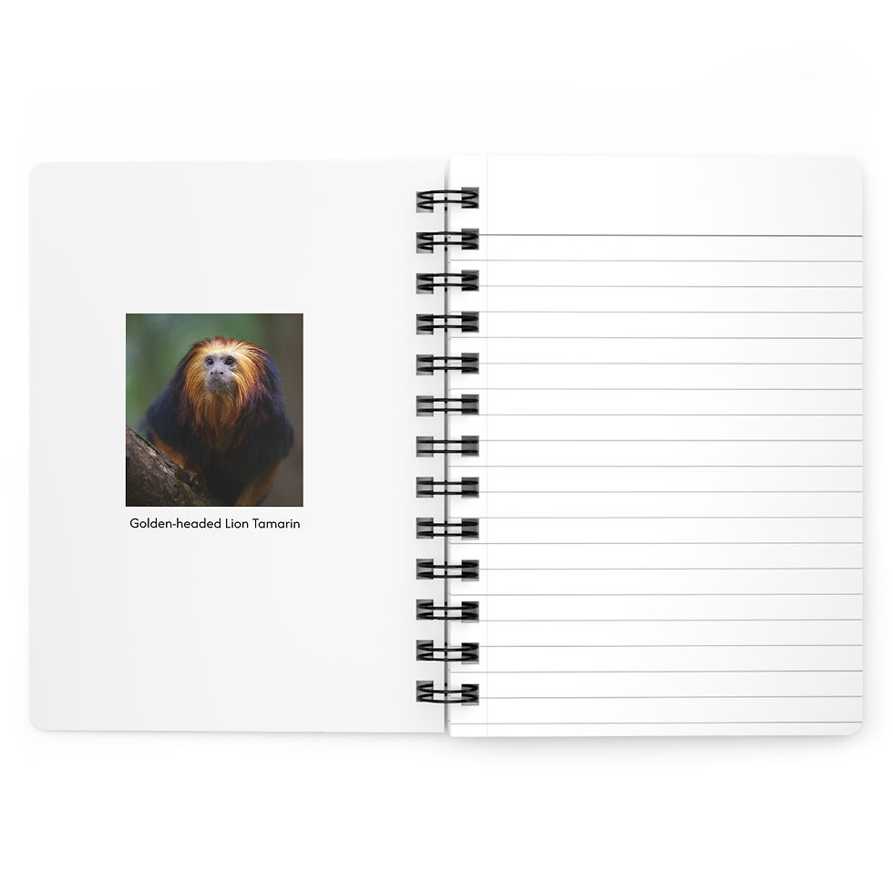 Thumbnail: Golden-headed Lion Tamarin Spiral Notebook  by RSCF