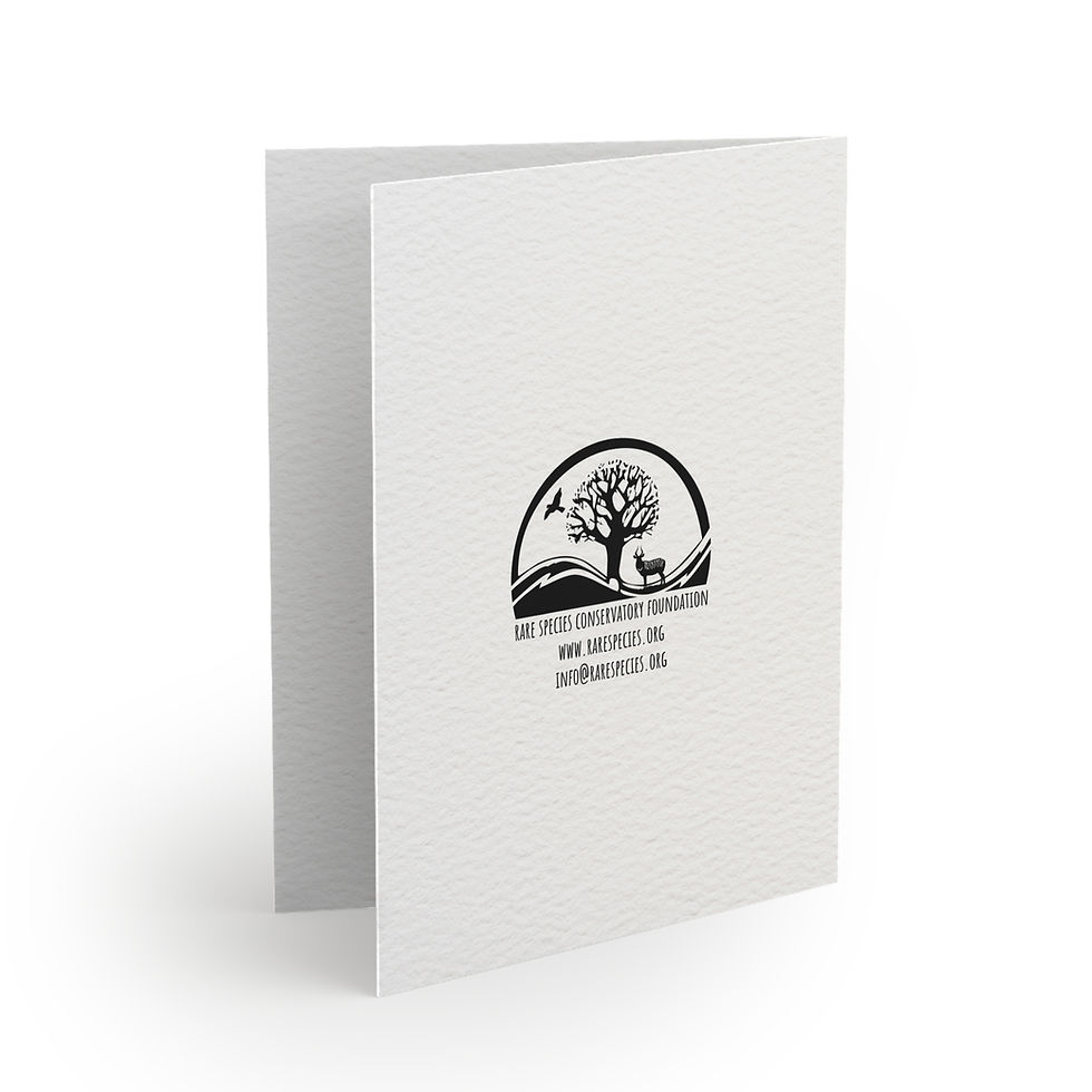 Thumbnail: Lion Tamarin Sketch Notecards by RSCF