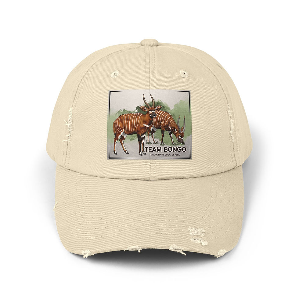 Thumbnail: Distressed Team Bongo Baseball Cap by RSCF
