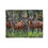 Thumbnail: Bongo Antelope Photo Blanket — Wildlife Safari Throw
