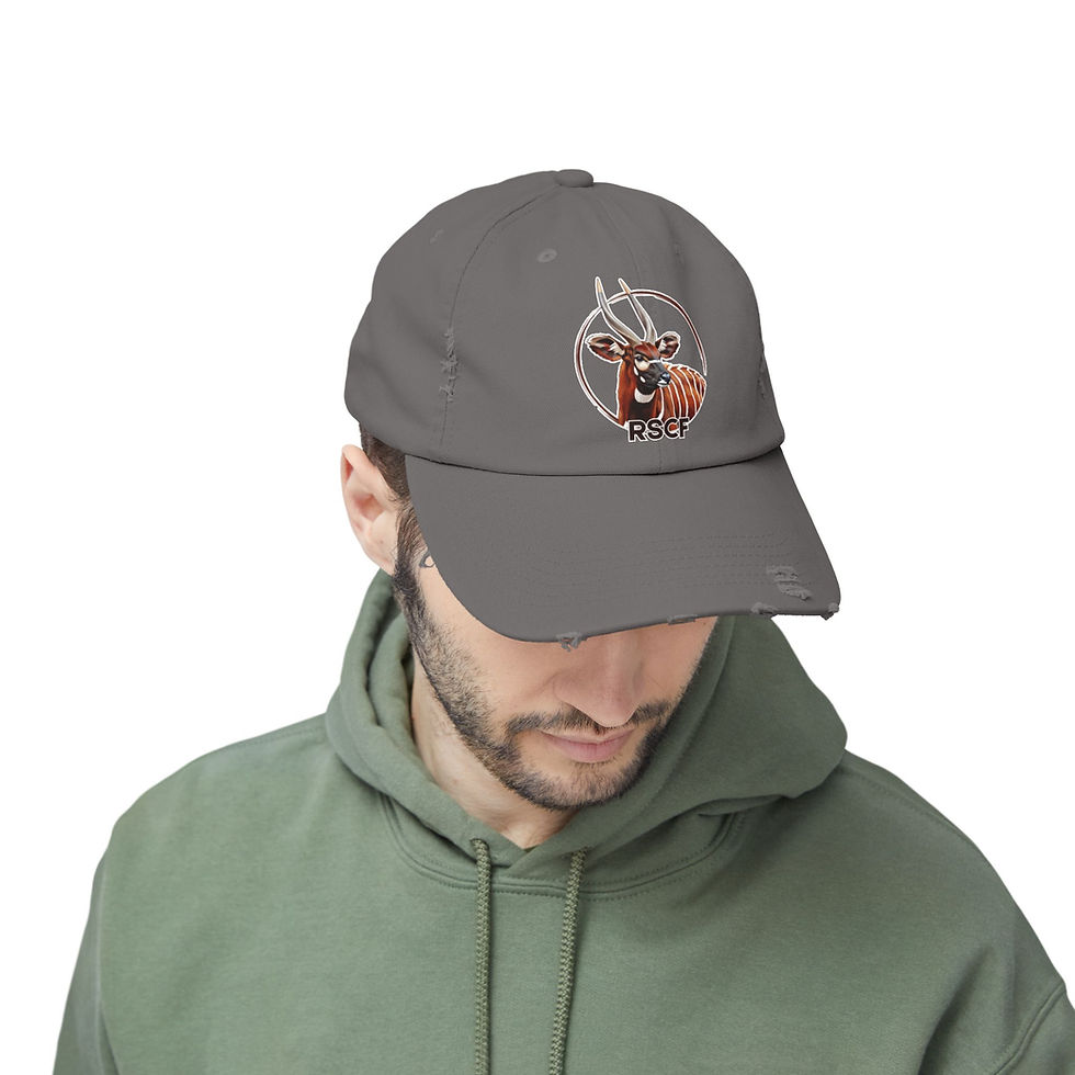 Thumbnail: Distressed Bongo Hat by RSCF