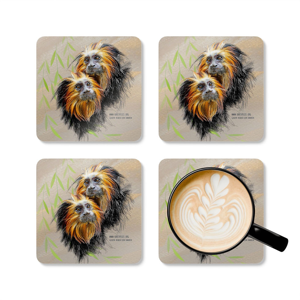 Thumbnail: Golden Headed Lion Tamarin Cork Coaster Set (Set of 4) by RSCF