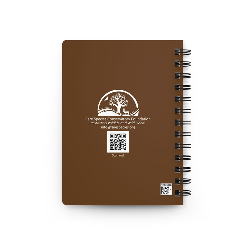 Thumbnail: Bongo Antelope Spiral Journal by RSCF