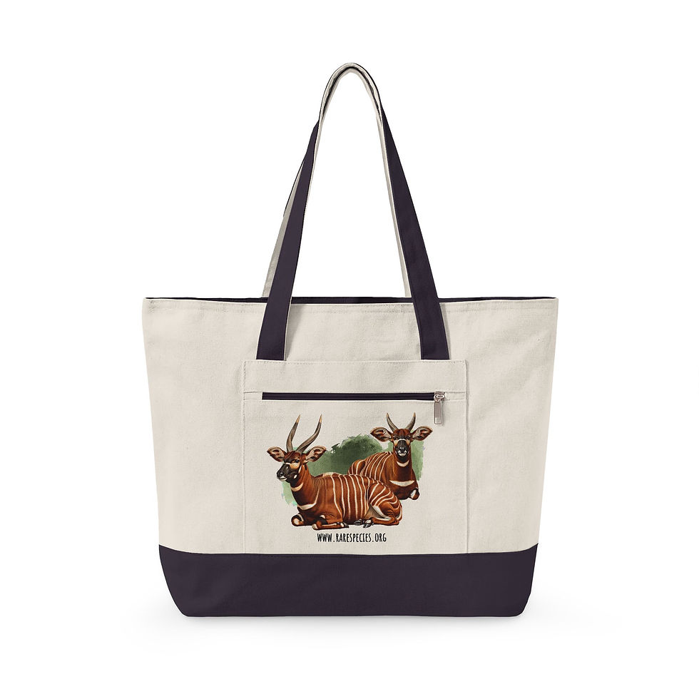 Thumbnail: Bongo Antelope Canvas Tote - Zippered Bag by RSCF