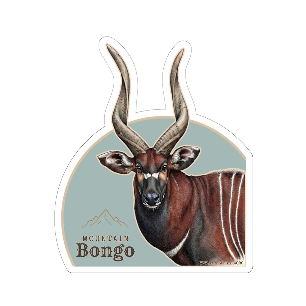 Thumbnail: Mountain Bongo Sticker — Wildlife Conservation Vinyl Kiss-Cut Decal