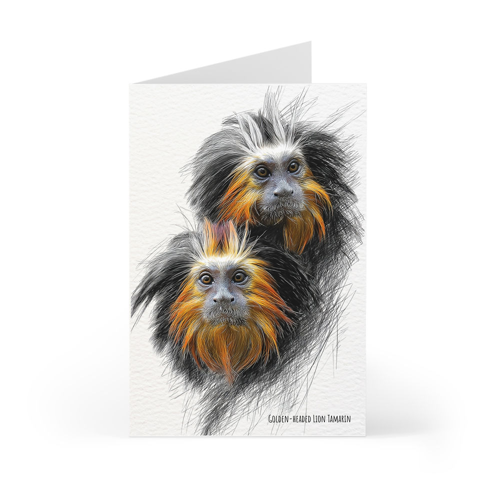 Thumbnail: Golden-Headed Lion Tamarin by RSCF – Set of 7 Blank Note Cards